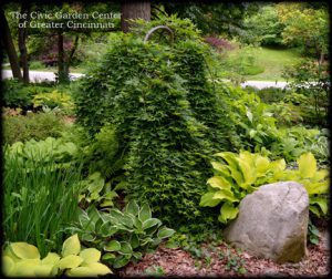Read more about the article DESIGNING WITH STONES IN THE SMALL GARDEN
