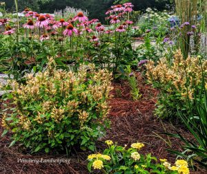 Read more about the article Notes From the Gardens: Route 50