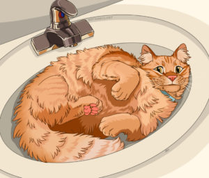 Orange fluffy cat laying in sink.