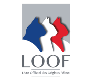 logo loof2