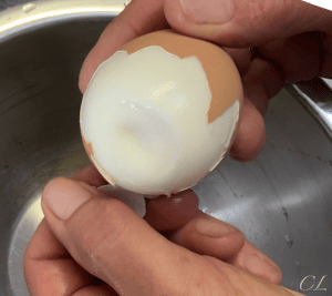 écaillage des oeufs