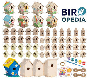 Barn Owl Bird Box