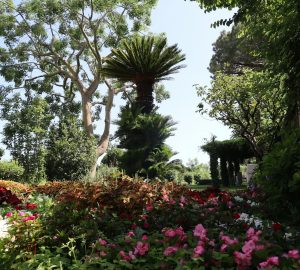 Rinnovare giardino