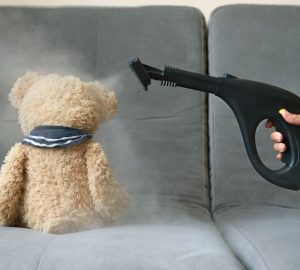 mano aspira un peluche sul divano