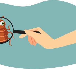 disegno di pulce sotto una lente di ingrandimento