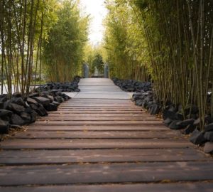 Il parquet in bamboo funziona bene solo nelle case giuste: Tranquillo sentiero di legno fiancheggiato da bambù in un…