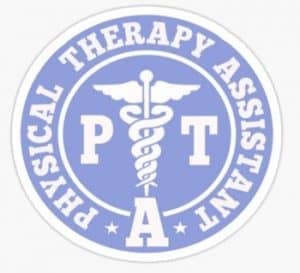 licensed physical therapist assistant