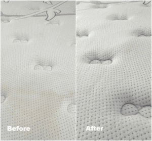 Before and after mattress cleaning Brighton