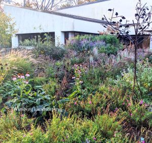 Read more about the article It’s Scary Not to Have a Garden in Bloom Now