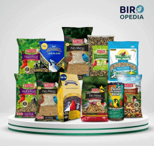 Best Bird Seed for Blue Jays