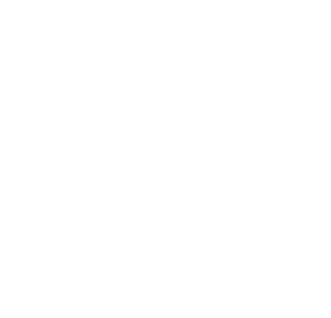 anida_Terapia_Madrid_Icono_Blanco