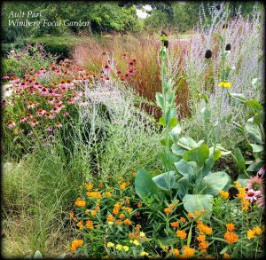 Read more about the article Creating a Blissful Summer Garden