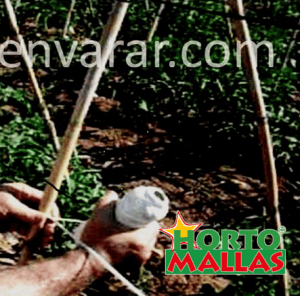 Envarado con palos y rafia.