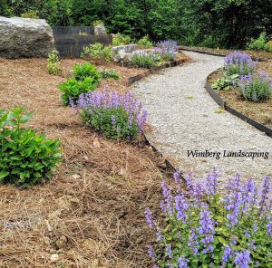 Read more about the article Notes From the Gardens: Wimberg Route 50