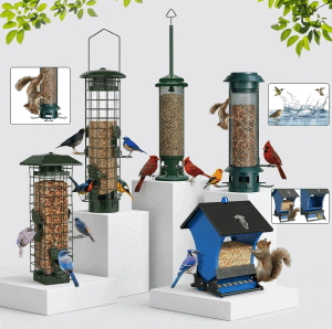 Squirrel Proof Bird Feeder Reviews