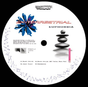 Ex-terrestrial - euphorbia