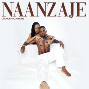 Diamond Platnumz - Naanzaje