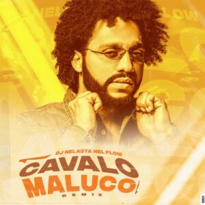 DJ Nelasta Nel Flow - Cavalo Maluco (Remix)
