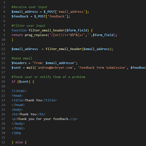 Domain & Hosting set up