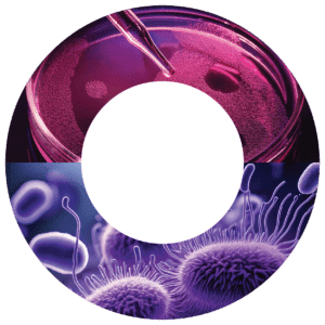 Circular graphic featuring a laboratory petri dish with a pipette and microscopic single cells, representing label-free cell analysis and viability measurement for bioprocessing and single-cell monitoring with Amphasys technology.