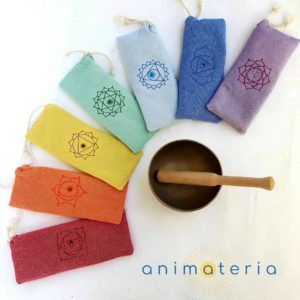 Chakra Pillow Set