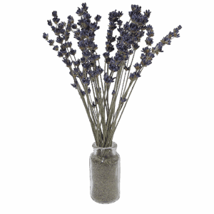 Lavender Mini Bouquet