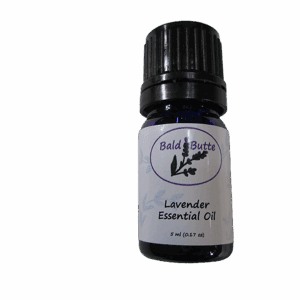 lavender-essential-oils