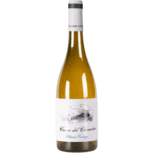 Fles Santa Cruz Cueva Chamán Verdejo