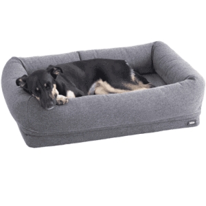 Best Dog Bed for Senior Dogs - BarkBox Orthopedic Bed