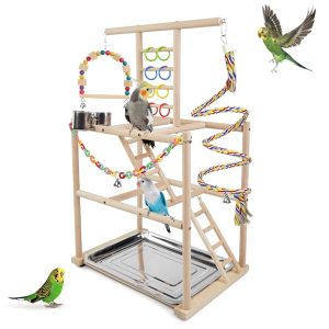 A Place for a Bird to Perch