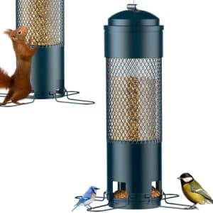 Anti Squirrel Bird Feeder