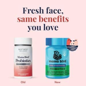 Are Bird Probiotics the Same As Human Probiotics