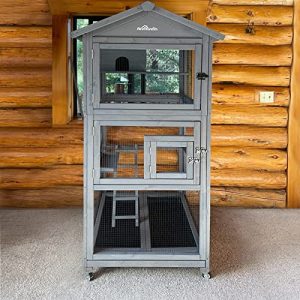 Best Cat Proof Bird Cage
