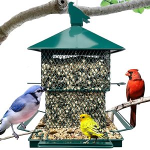 Bird Feeder for Blue Jays