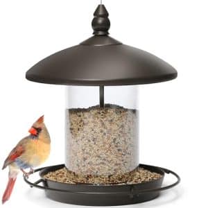 Bird Feeder for Larger Birds