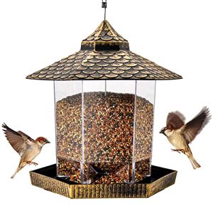 Bird Feeder Garden