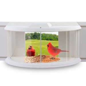 Bird Feeder Inside Window