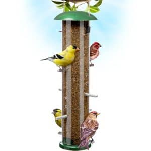 Bird Feeder Nyjer Seed