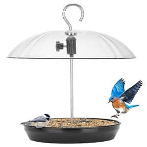 Bird Feeding Platform