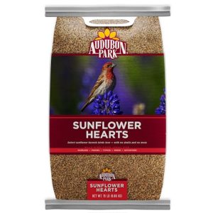 Bird Food Sunflower Hearts