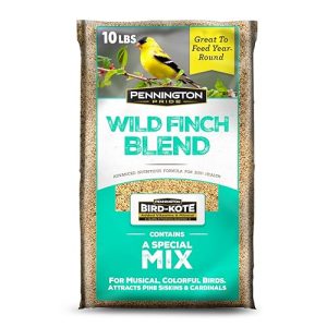 Bird Seed for Finches