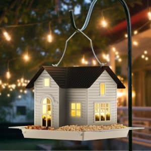 Birdhouse And Bird Feeder