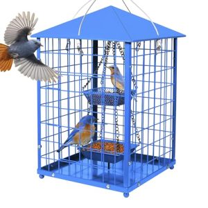 Blue Bird Feeder