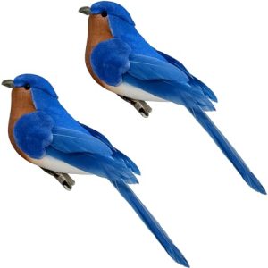 Blue Bird Flowers