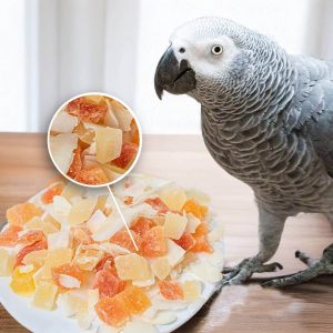 Can I Include Dried Fruit in My Bird Food