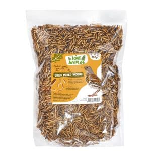 Can You Feed Worms Wild Bird Seed