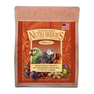 Do Birds Eat Elderberries