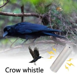 Do Calls Attract Birds