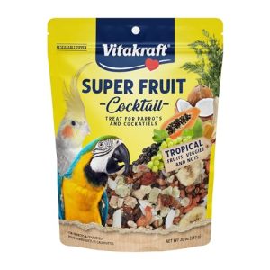 Dried Fruit Birds