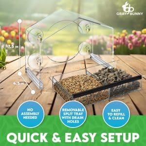 Easy Clean Window Bird Feeder